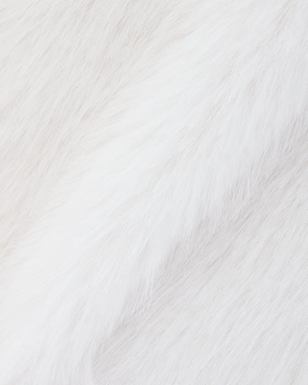 INGNI(イング) マグネットボタンスタンドカラーエコファーコート アイボリー